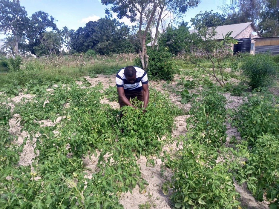 Agro-ecology