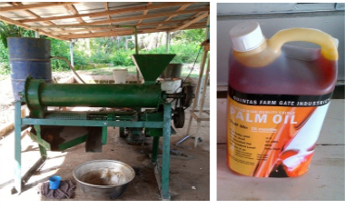 Palm oil