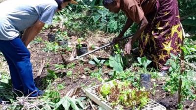 compost